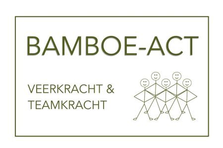 Logo-Bamboe-Teamkracht-q4zw3xntld8rx9oxu9jl4miaztne31nfn8p6b0f7lk