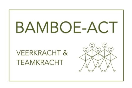 Logo-Bamboe-Teamkracht