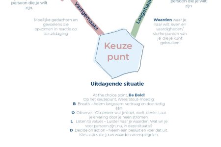 keuzepunt-choice-point-russ-harris-act-witte-achtergrond