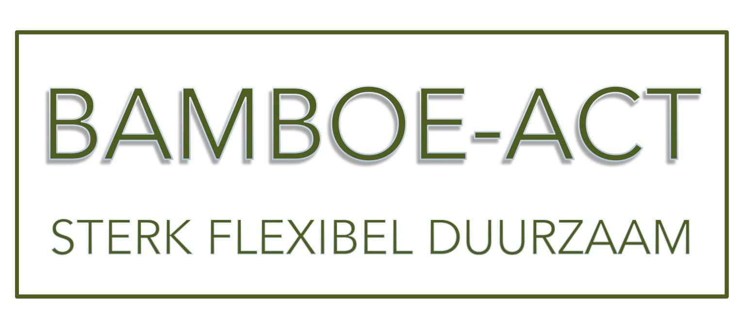 logo-BAMBOE-ACT-2017-sterk-